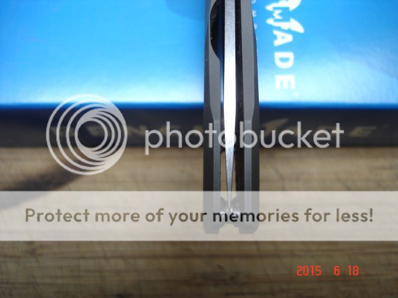 DSC02236_zpssy2qv6r8.jpg