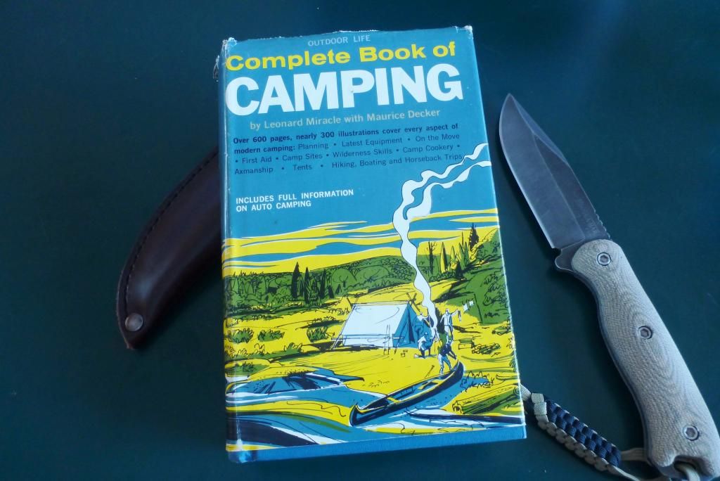 P1020590.jpg