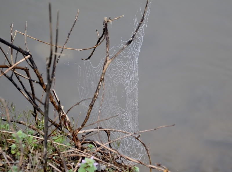 DSC_1187.jpg
