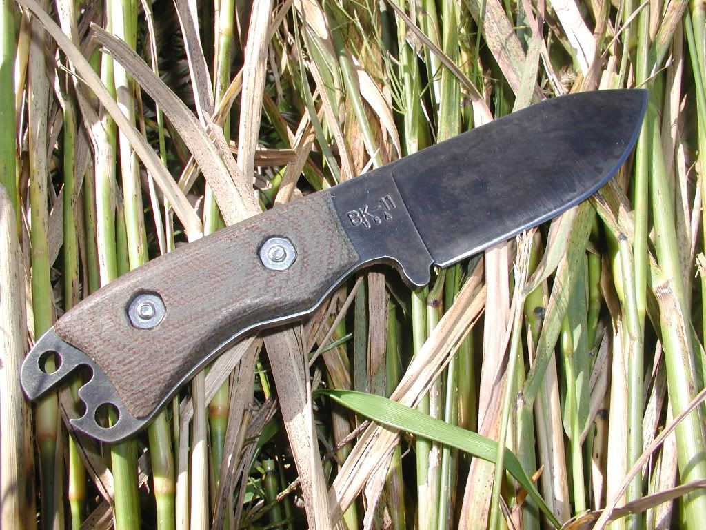BK11Blued1.jpg