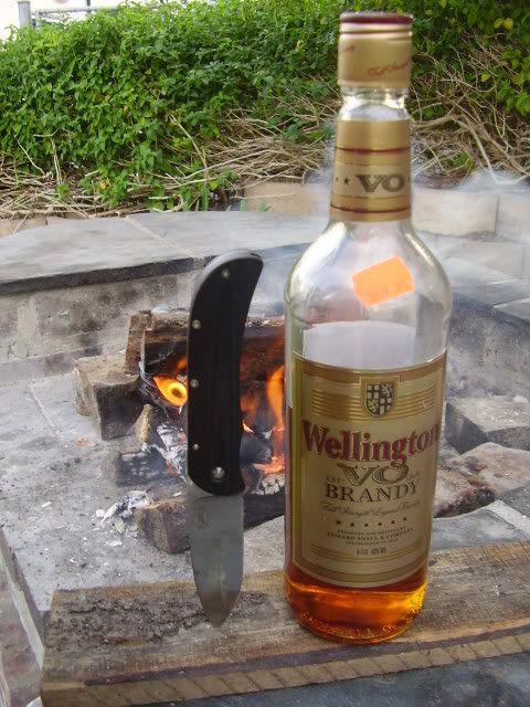 P2250013.jpg