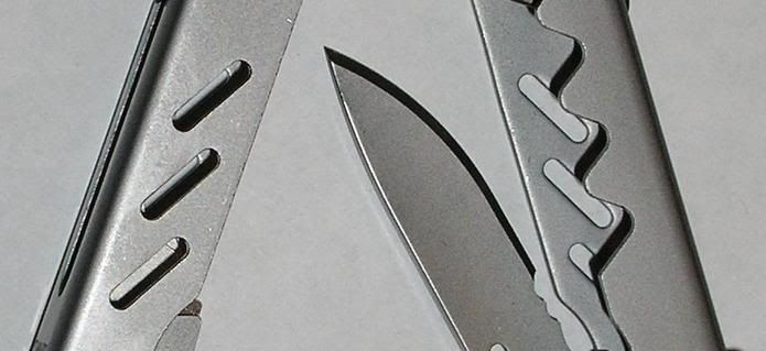 closeup3.jpg