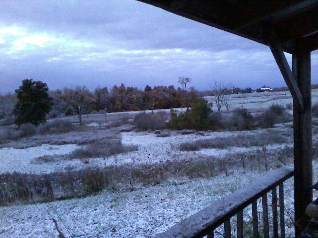 Photo0079_zpshrfstlog.jpg