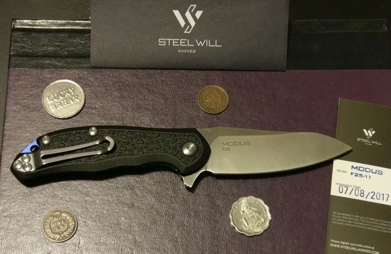 Steel_Will_F25_11e.jpg