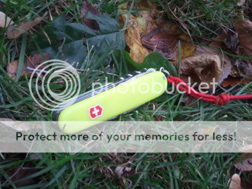 2012-10-31180306.jpg