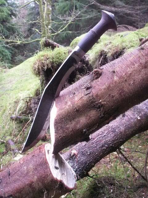 butcherskukcancut.jpg