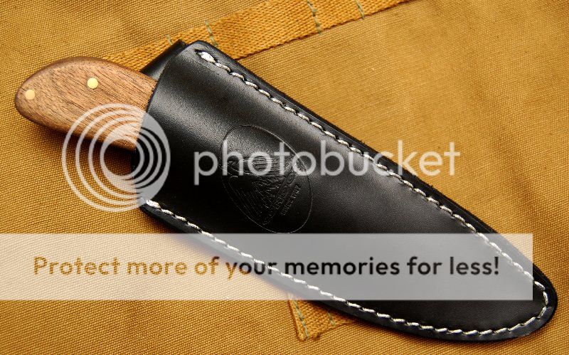 condor4_800x499.jpg