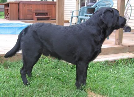 buddy_6.jpg