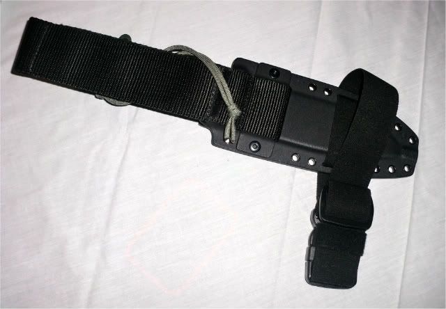 CIMG9880.jpg