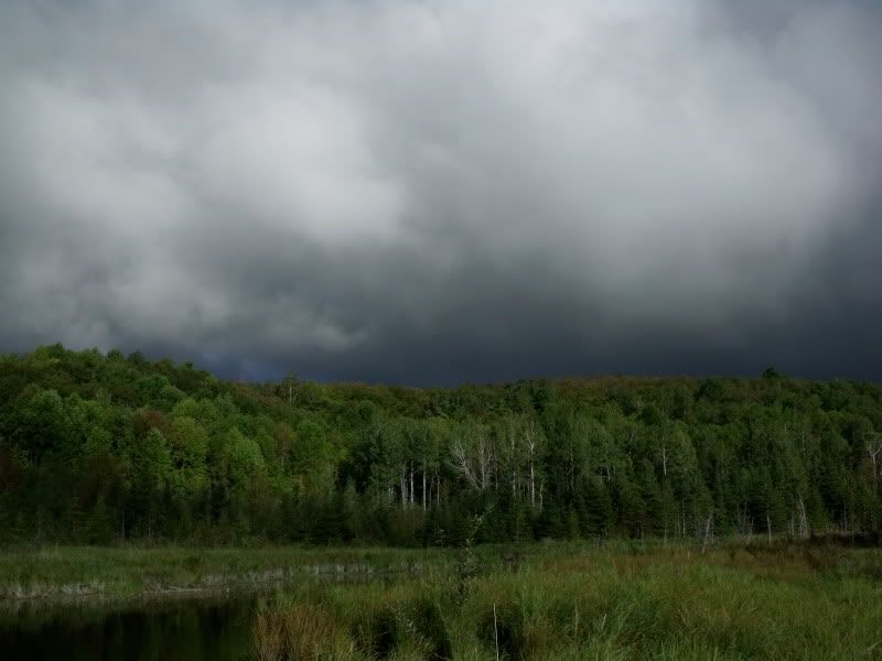 DSCF3807.jpg