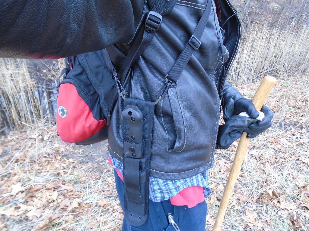DSC00788_zpsdnyf2tpu.jpg