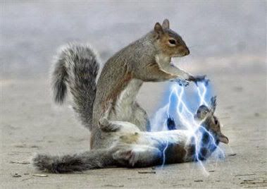 squirrel_sith_lightning.jpg