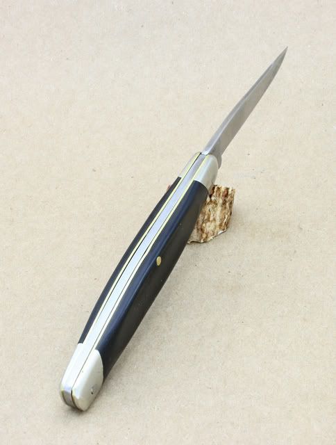 SlimBirdopen.jpg