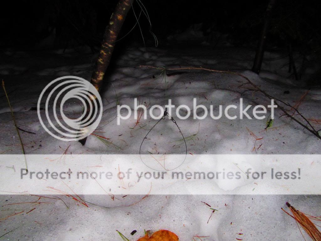 IMG_2283_zps87f3be32.jpg