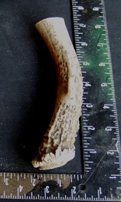 587b.jpg