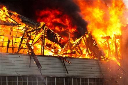 CamillusFire3_zps63f8898e.jpg
