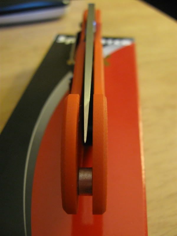 ryth232-1.jpg