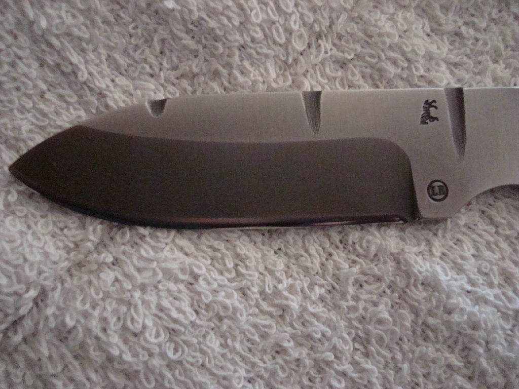 DSC06988_zpsvywdppdf.jpg