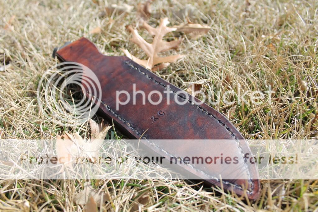 IMG_2126_zps87b4ca2b.jpg
