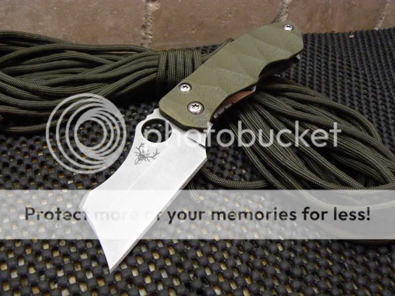 SpydercoYojimbo.jpg