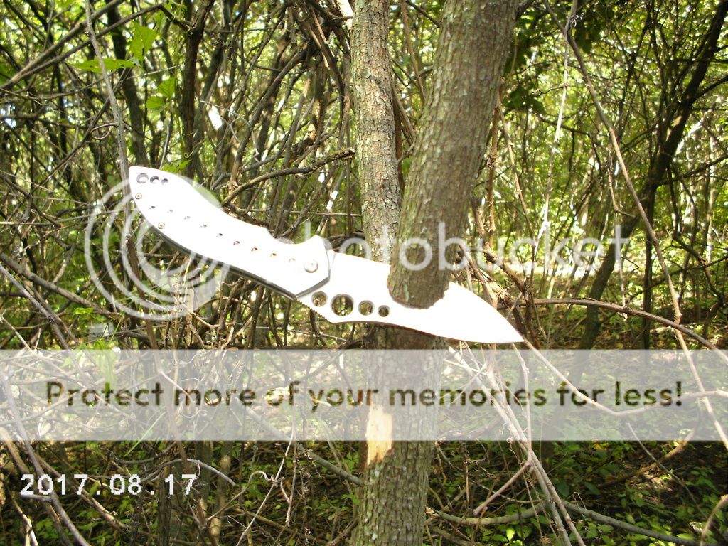 DCFC0178.jpg~original