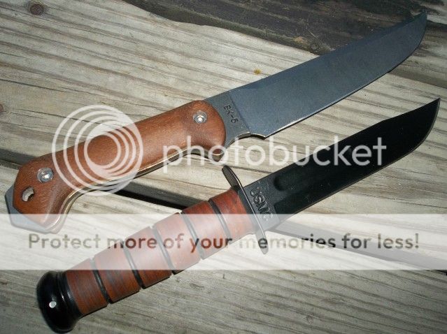 100_2384.jpg