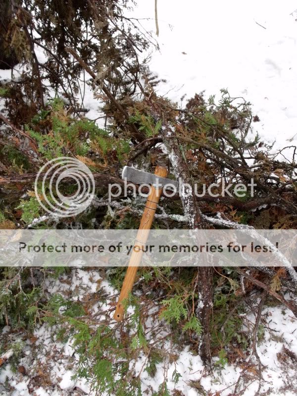 BoxingDaySnowshoeing018.jpg