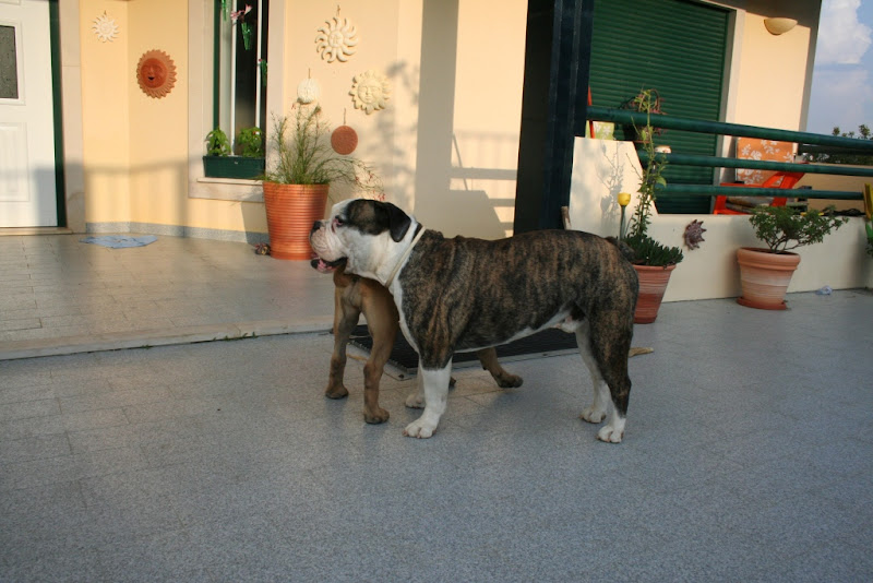IMG_7774_small.jpg