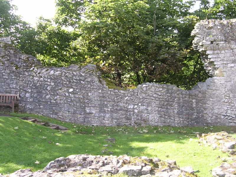 DSCN1504.jpg