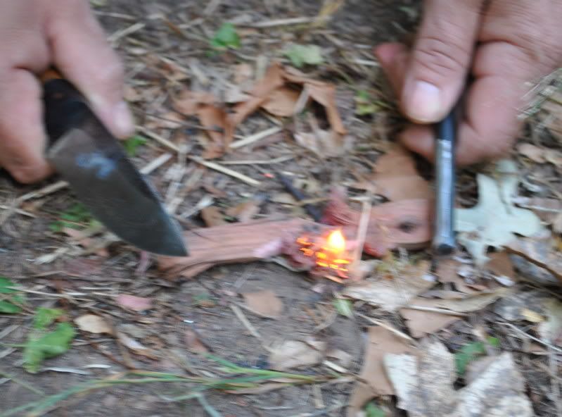 DSC_3948.jpg