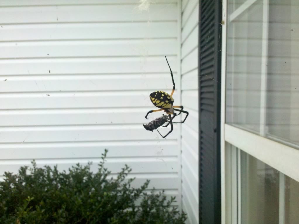 IMG_20120906_080440.jpg
