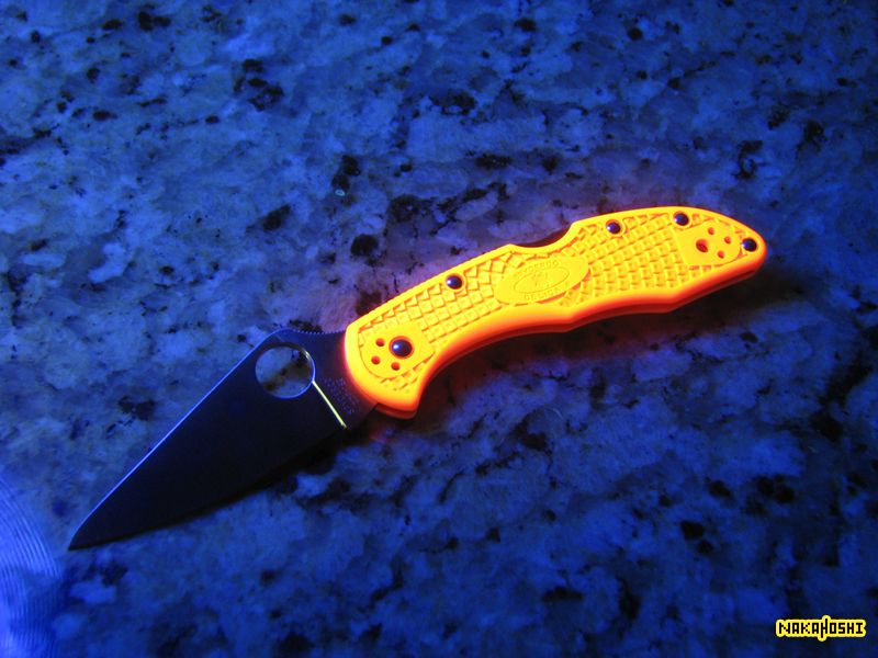Orange_Delica.jpg