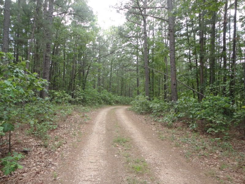 indiantrails003.jpg