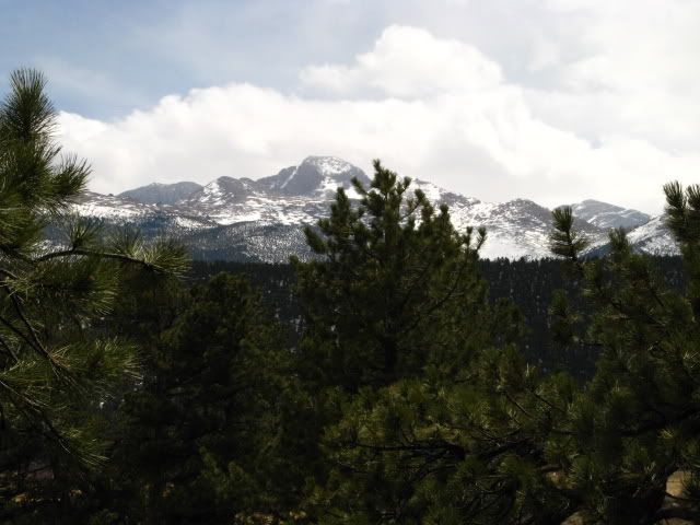 IMG_4908.jpg