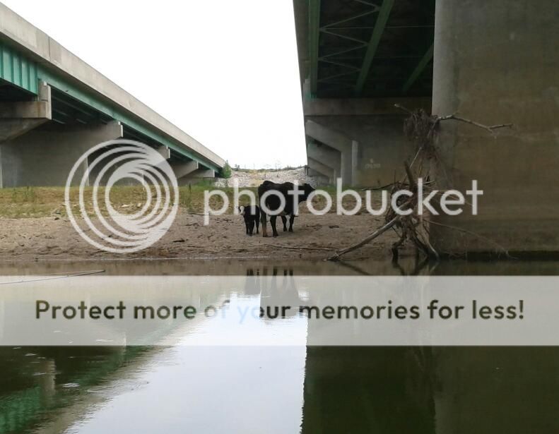 2012-06-24153727-1.jpg