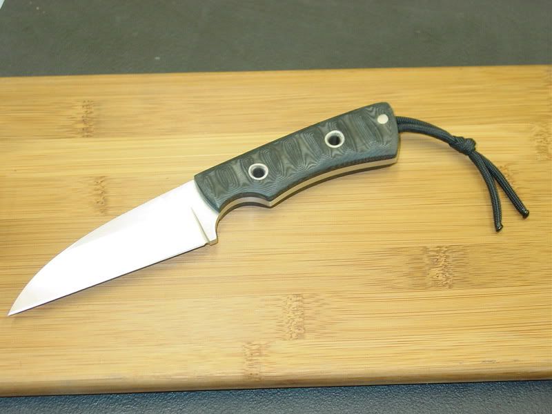 largefang013.jpg