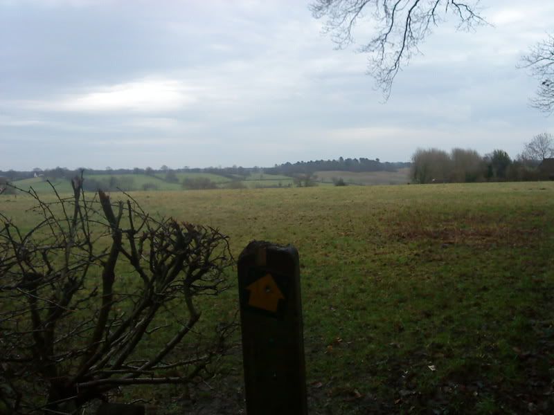 DSC00045.jpg