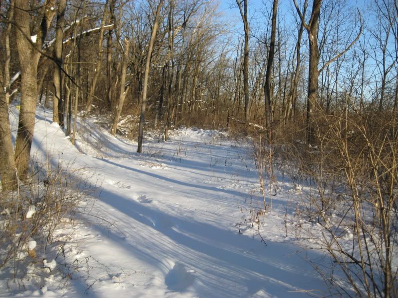 IMG_0630.jpg