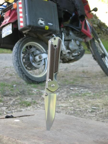 AugLong127.jpg