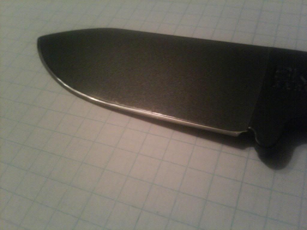 2012-02-21211947.jpg