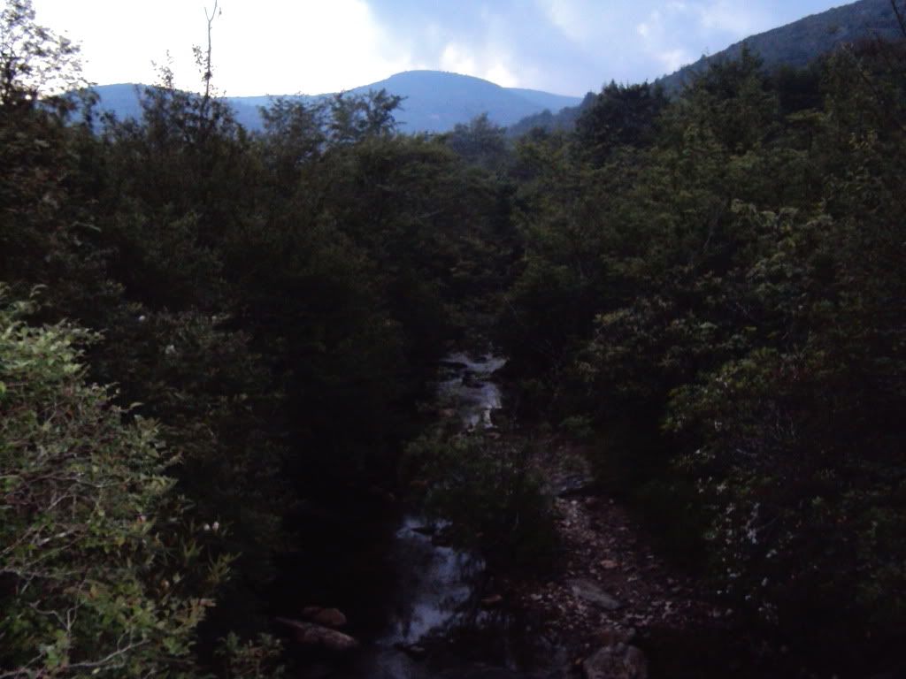 DSC00648.jpg