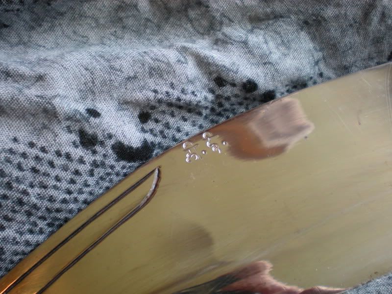 DSCN0346.jpg