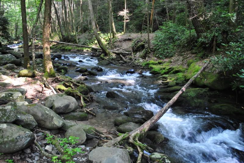 DSC_4011.jpg