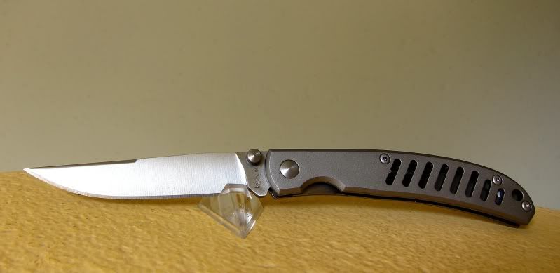 MinKershaw1430WildWildTurkey.jpg