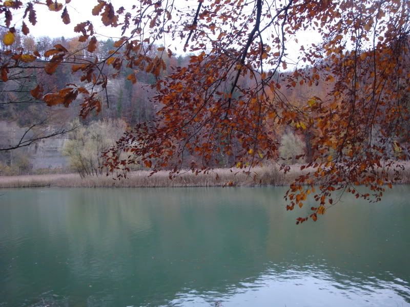 DSC00989.jpg