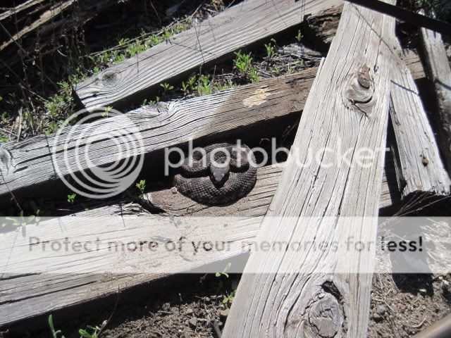 IMG_2213.jpg