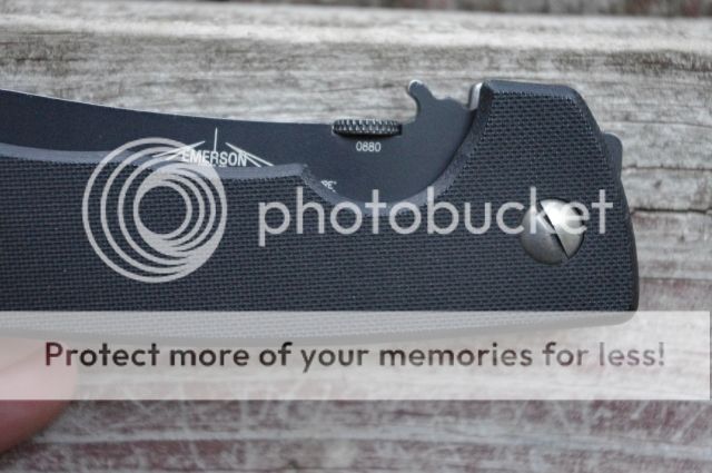 IMGP4040.jpg