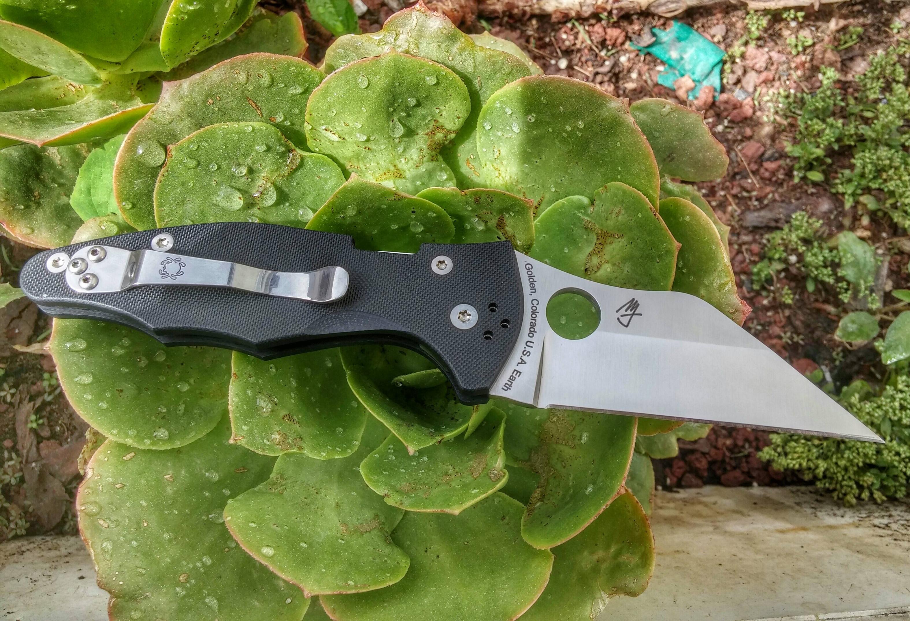 p3YOWnK.jpg
