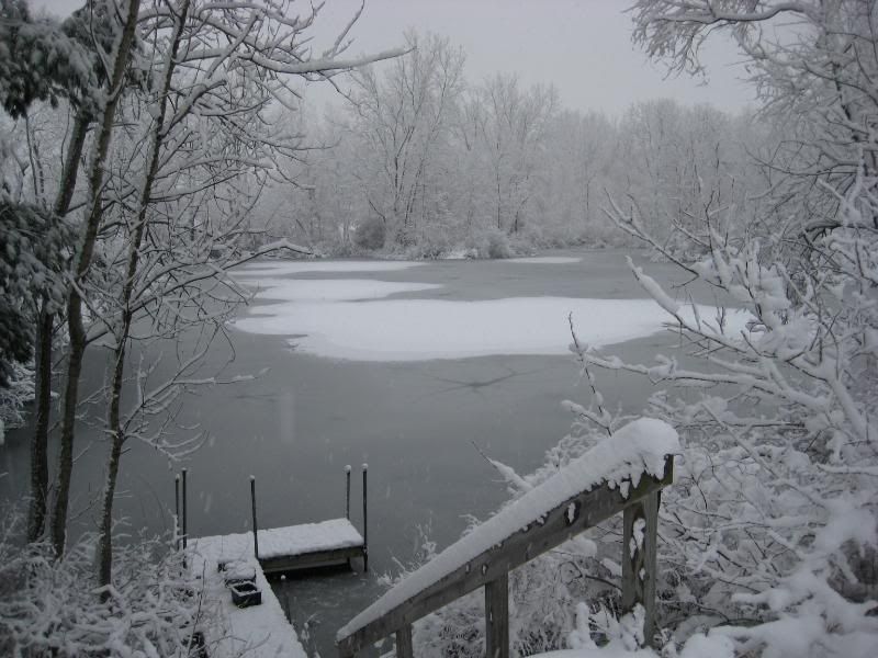 FirstSnowDecember12008003.jpg