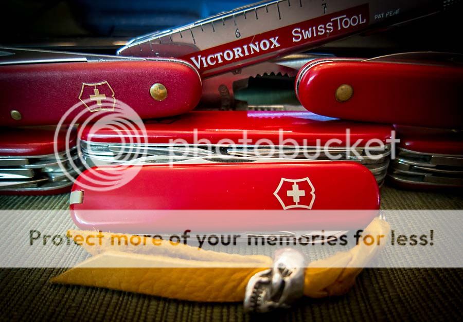 Swiss-mix1.jpg~original